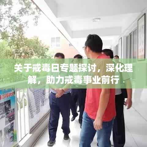 关于戒毒日专题探讨，深化理解，助力戒毒事业前行