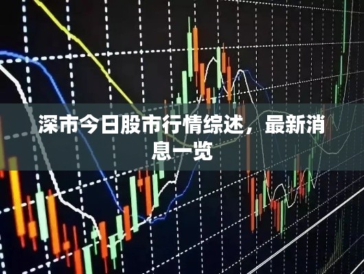 深市今日股市行情综述,最新消息一览
