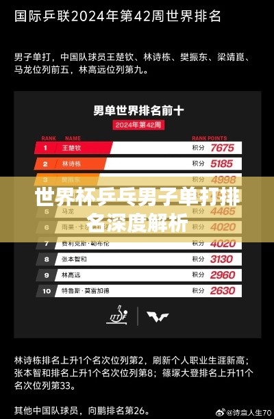 世界杯乒乓男子单打排名深度解析