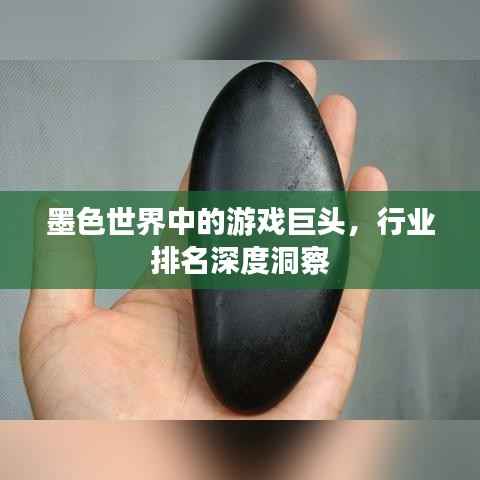 墨色世界中的游戏巨头,行业排名深度洞察