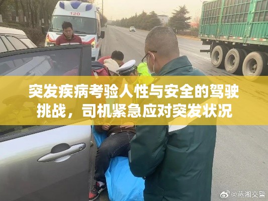 突发疾病考验人性与安全的驾驶挑战,司机紧急应对突发状况