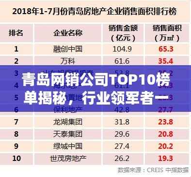 青岛网销公司TOP10榜单揭秘,行业领军者一网打尽!