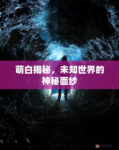 萌白揭秘，未知世界的神秘面纱